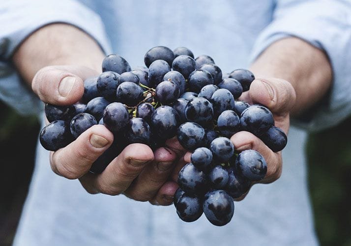 Man Holding Grapes